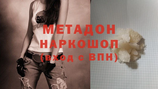 прущие грибы Касимов