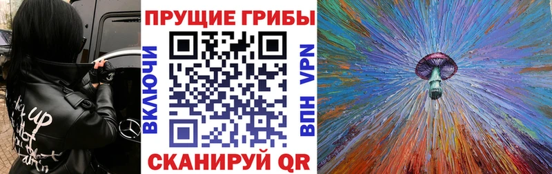 Псилоцибиновые грибы Magic Shrooms Староминская