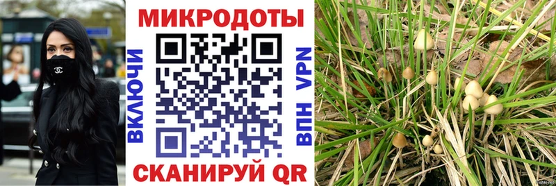 Купить где  Староминская  Псилоцибиновые грибы прущие грибы 